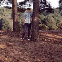 Alfie Cheal
