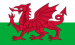 WALES FOOTBALL TRIALS - 2025 2026
